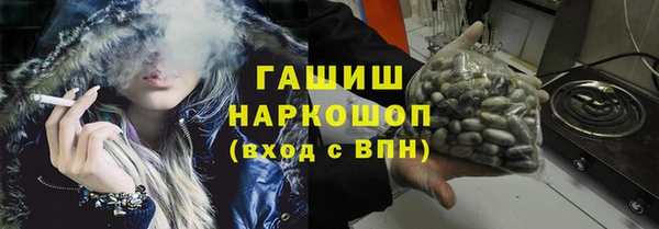 амф Гусев