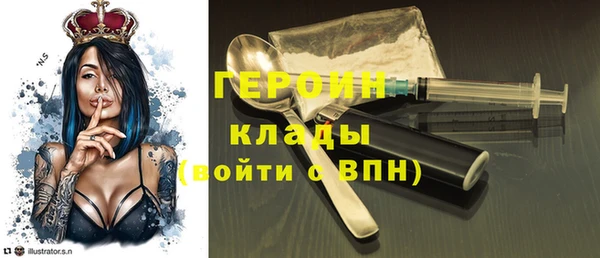 амф Гусев