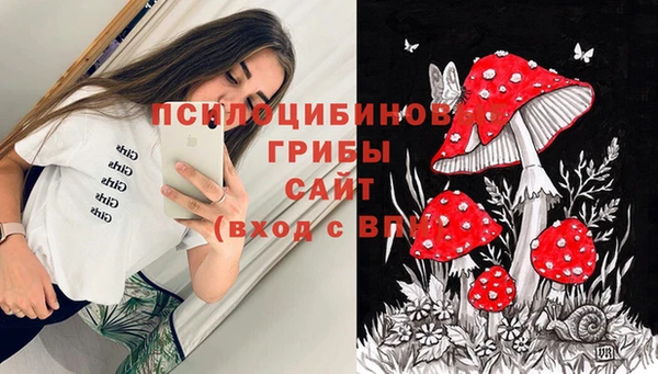 амф Гусев