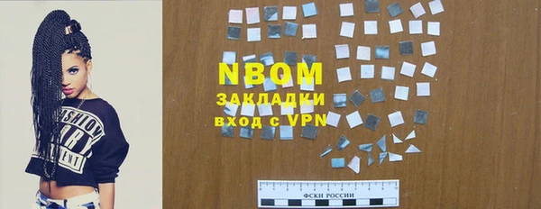 амф Гусев