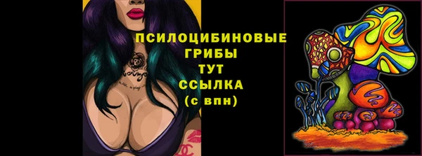 амф Гусев