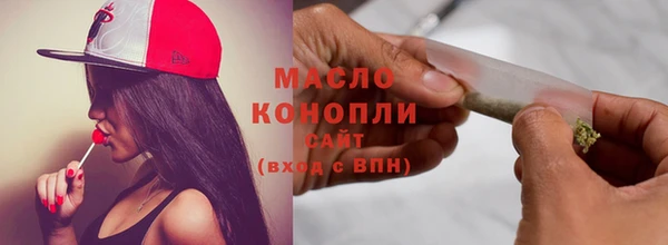 амф Гусев