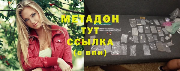 амф Гусев