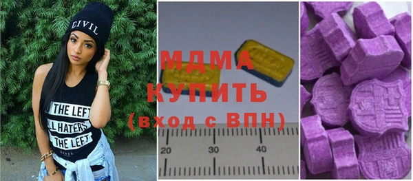 амф Гусев
