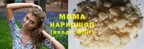 амф Гусев