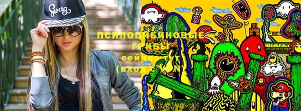 mdpv Гусь-Хрустальный