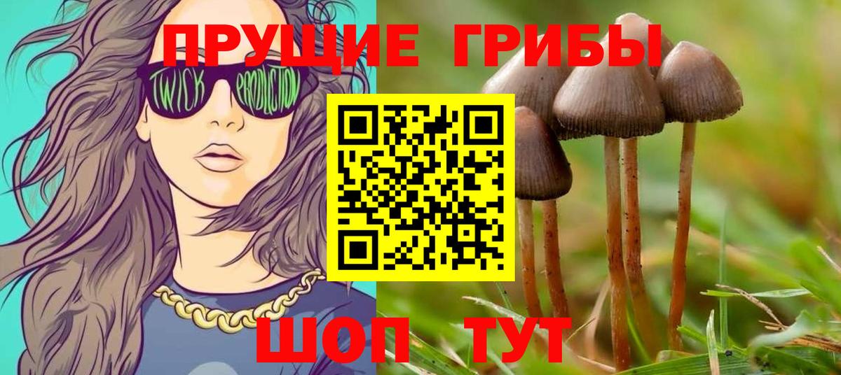 Галлюциногенные грибы прущие грибы Гагарин