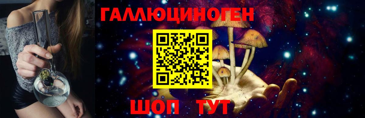 купить наркотик  Гагарин  Псилоцибиновые грибы GOLDEN TEACHER 